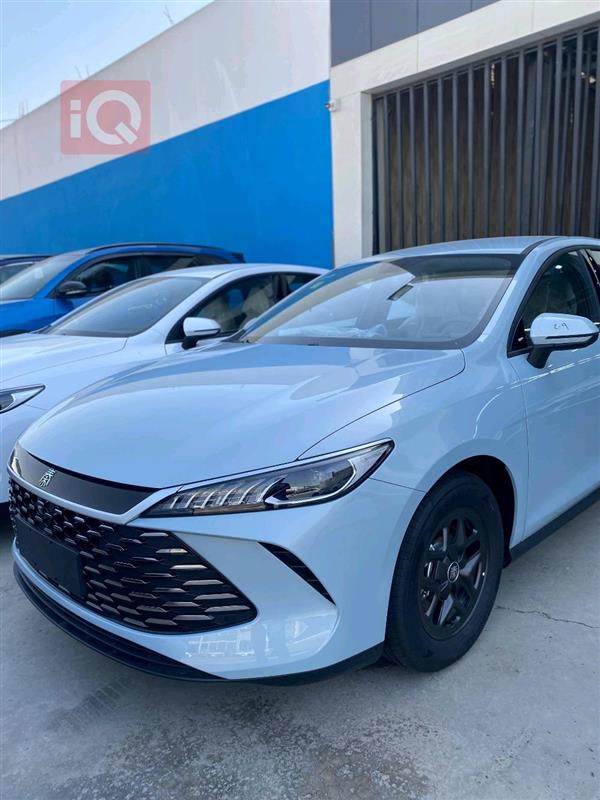 بي واي دي Qin Plus 2025 للبيع في العراق -  بغداد